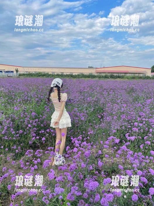 17c吃瓜 你说的入口可是17c吃瓜能不能拯救我无聊的时光?