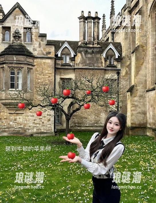 吃瓜网 吃瓜网页热度飙升,果然不再是只会吃瓜的地方。